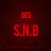 Des (Sono Nel Blocco) - Single album lyrics, reviews, download