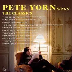 Ten Storey Love Song - Single by Pete Yorn album reviews, ratings, credits
