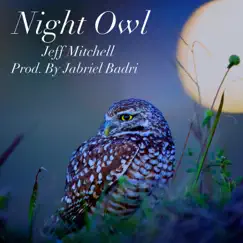 Night Owl Song Lyrics