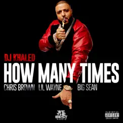 How Many Times (feat. Chris Brown, Lil Wayne, & Big Sean) - Single by DJ Khaled album reviews, ratings, credits