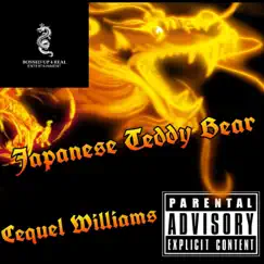 Japanese Teddy Bear - Single by Cequel Williams album reviews, ratings, credits