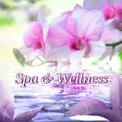Spa & Wellness - Zen Music Playlist for Beauty and Massage Center, Luxury Spa Hotel, Cosmetic Salon and Skin Clinic Lounge (Sounds of Nature, Relaxing Ambient Background Music, Soothing Ocean Waves) by Beautiful Spa Collection album reviews, ratings, credits