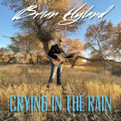 Crying in the Rain - Single by Brian Hyland album reviews, ratings, credits