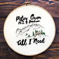 All I Need - Single by Peter Oren album reviews, ratings, credits