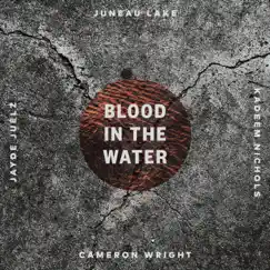 BLOOD IN the WATER (feat. Cameron Wright, Jayde Juélz & Kadeem Nichols )feat. Cameron Wright, Jayde Juélz & Kadeem Nichols - Single by Juneau Lake album reviews, ratings, credits