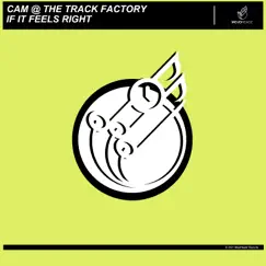 If It Feels Right - Single by Cam @ The Track Factory album reviews, ratings, credits