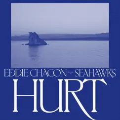 Hurt (Seahawks Remix) - Single by Eddie Chacon album reviews, ratings, credits