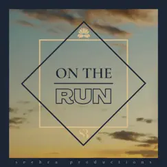 On the Run - Single by Seehra Brothers album reviews, ratings, credits