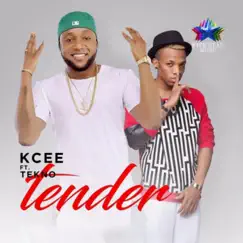 Tender (feat. TEKNO) - Single by KCee album reviews, ratings, credits