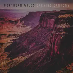 Carving Canyons - Single by Northern Wilds album reviews, ratings, credits