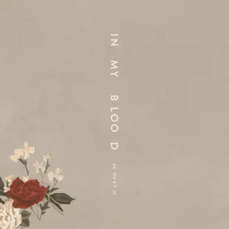 In My Blood (Acoustic) - Single by Shawn Mendes album download