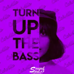 Turn up the Bass - Single by Carvillo album reviews, ratings, credits