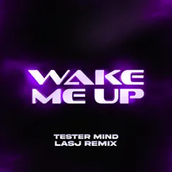Wake Me Up (lasj Remix) Song Lyrics