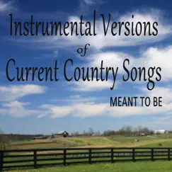 Instrumental Versions of Current Country Songs: Meant To Be by Steve Petrunak album reviews, ratings, credits