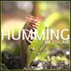 Humming - Single album lyrics, reviews, download