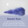 Peaceful Music: Zen Music for Balance and Relax, Spa Music Relaxation Non Stop Music & New Age Meditation Music Soundscapes album lyrics, reviews, download