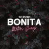 Se Puso Bonita (Remix) song lyrics