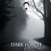 Dark Forest (Dark Trap Beat) - Single album lyrics, reviews, download