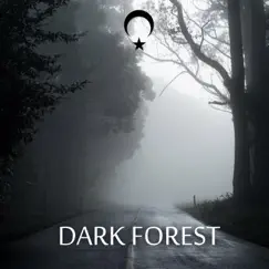 Dark Forest (Dark Trap Beat) Song Lyrics