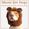 Music for Dogs (Relaxing Sounds for Dogs to Sleep) album lyrics, reviews, download