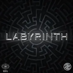 Labyrinth (Instrumental) - Single by Prophxcy album reviews, ratings, credits