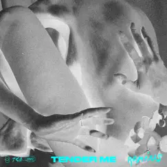 Tender Me (The Subs Extended Remix) Song Lyrics