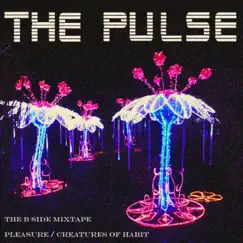 Pleasure / Creatures of Habit (Demo Mix) [Demo] - Single by The Pulse album reviews, ratings, credits