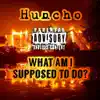 What Am I Supposed To Do (feat. DMF) - Single album lyrics, reviews, download