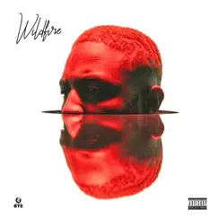 Wildfire by Prettyboy D-O album reviews, ratings, credits