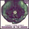 Diamonds in the Rough album lyrics, reviews, download