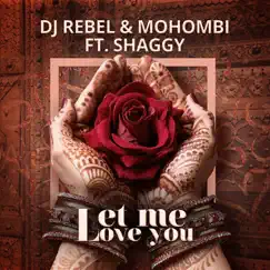 Let Me Love You (feat. Shaggy) Song Lyrics