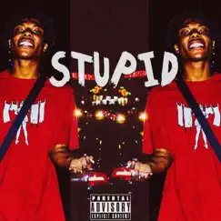 Stupid - Single by Ace Spades album reviews, ratings, credits