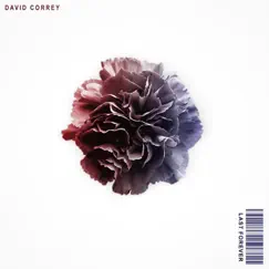 Last Forever - Single by David Correy album reviews, ratings, credits