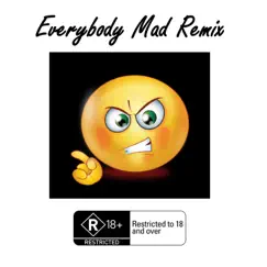 Everybody Mad (Remix) - Single by King of Mars album reviews, ratings, credits