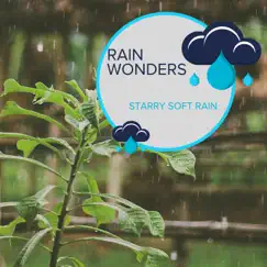 Rain Wonders - Starry Soft Rain by Rain Recordings & Everyday Rain Stories album reviews, ratings, credits
