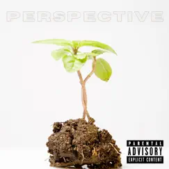 Perspective - Single by Legion album reviews, ratings, credits