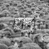 Grey Sheep II album lyrics, reviews, download
