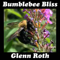 Bumblebee Bliss - Single by Glenn Roth album reviews, ratings, credits