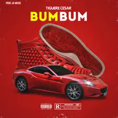 Bum Bum - Single by Tiguere Cesar album reviews, ratings, credits