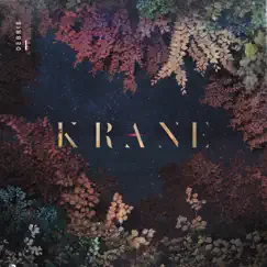 Debris by KRANE album reviews, ratings, credits