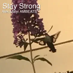 Stay Strong - Single by Alex Matyi Ambeats album reviews, ratings, credits