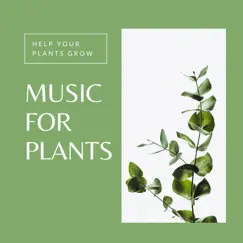 Music for Plants – Music to Help Your Plants Grow, Light Indian Music by Zen Garden Secrets album reviews, ratings, credits