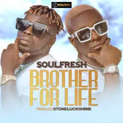 Brother for Life - Single by Soulfresh album reviews, ratings, credits