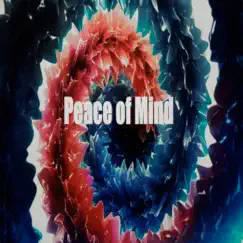 Peace of Mind - Single by Jaxx Flames album reviews, ratings, credits