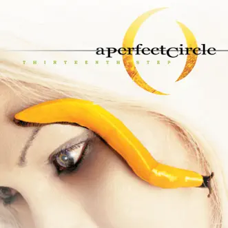 Download Lullaby A Perfect Circle MP3