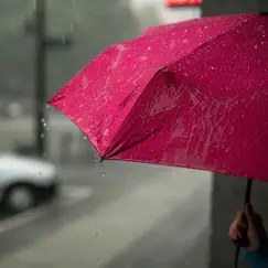 Rain Covered Windows Song Lyrics