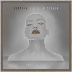 Lined in Silver (Instrumental) [Instrumental] by Breaths album reviews, ratings, credits