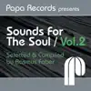 Papa Records Presents Sounds for the Soul, Vol. 2 (Selected & Compiled by Rasmus Faber) album lyrics, reviews, download