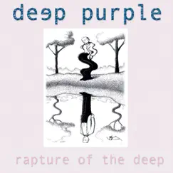 Rapture of the Deep by Deep Purple album reviews, ratings, credits