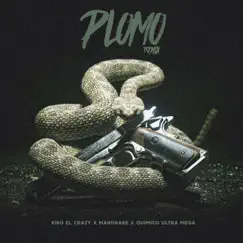 Plomo (feat. Mandrake & Quimico Ultra Mega) [Remix] Song Lyrics